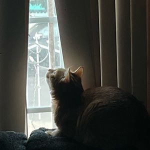 Meet your Posher, Miranda